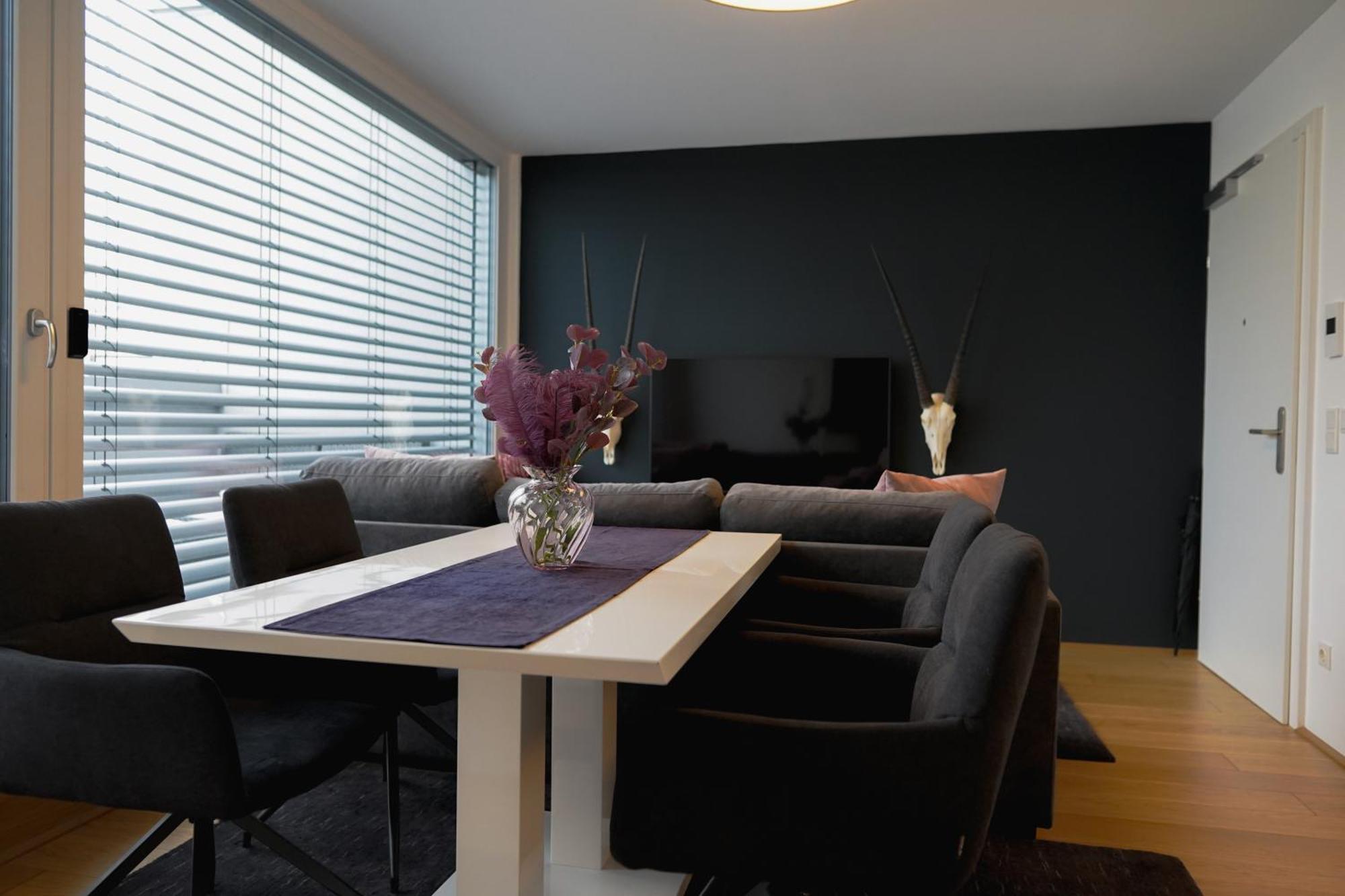Modern Stylish Design With Free Parking Emily Apartamento Viena